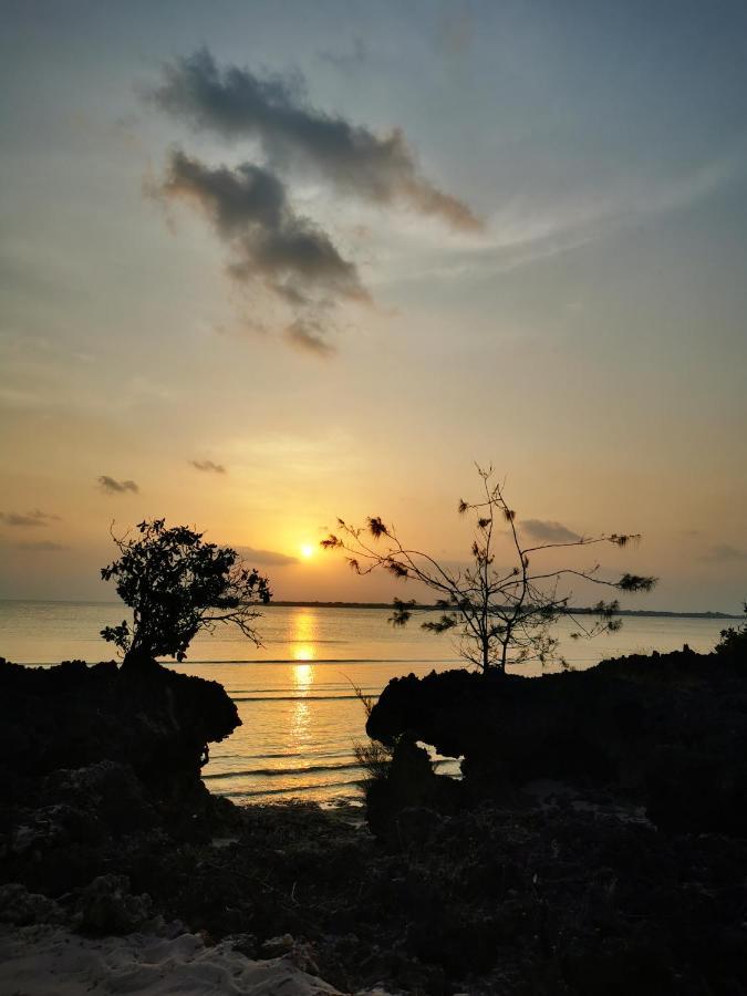 Amani Villas Nature Retreat Michamvi Kae Ngoại thất bức ảnh