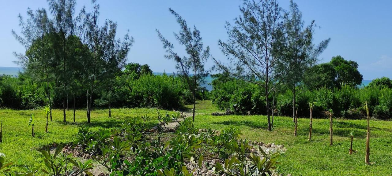 Amani Villas Nature Retreat Michamvi Kae Ngoại thất bức ảnh
